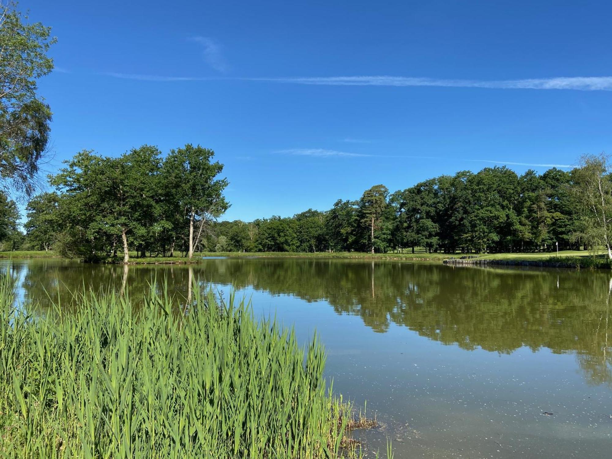 Domaine Du Roncemay - Hotel, Restaurants, Spa & Golf Aillant-sur-Tholon Exterior photo